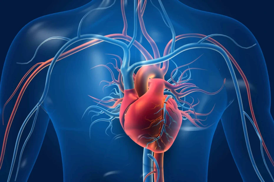 AI Scans Arteries and Predicts Risk