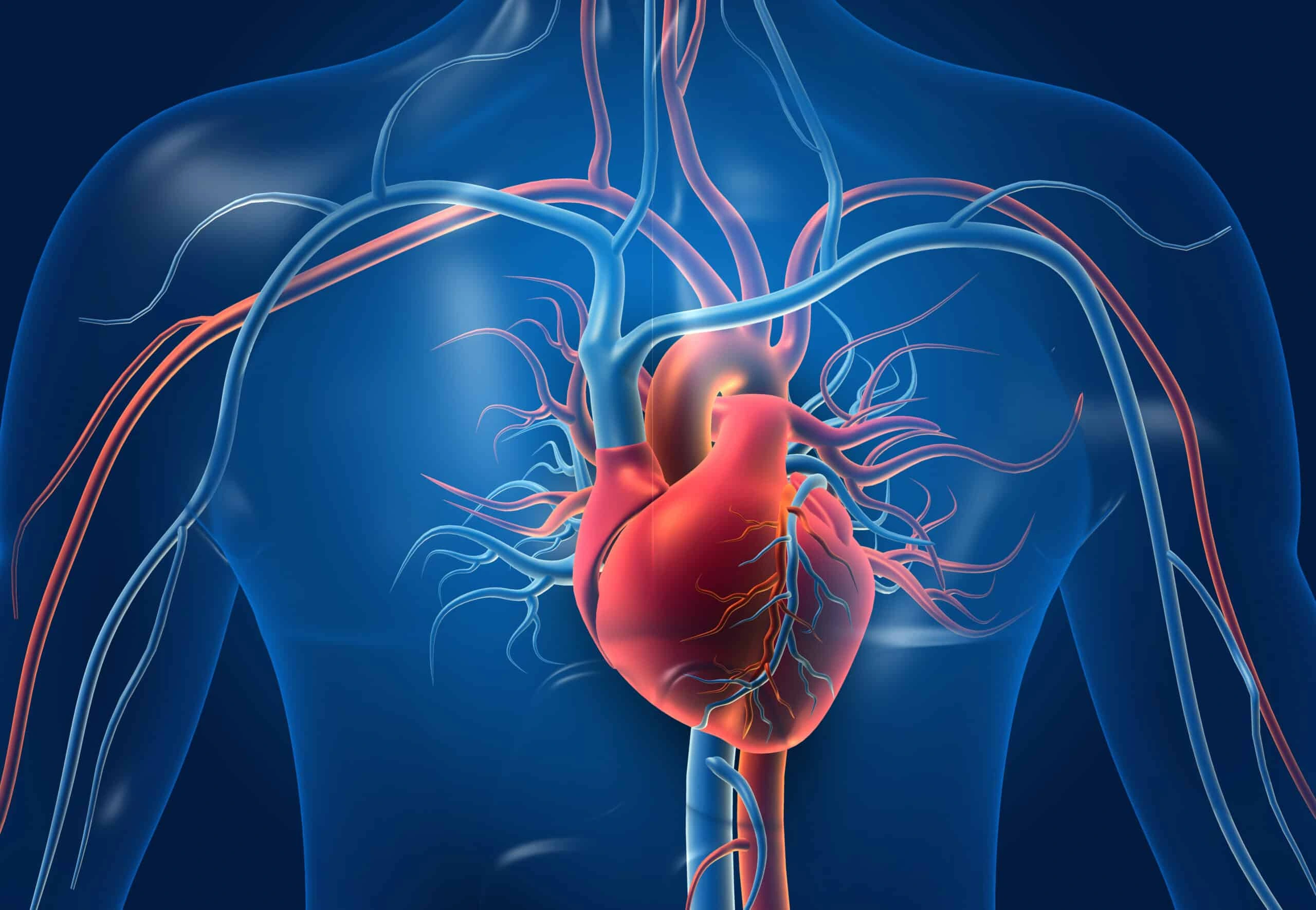 AI Scans Arteries and Predicts Risk